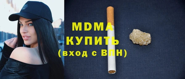 индика Вяземский